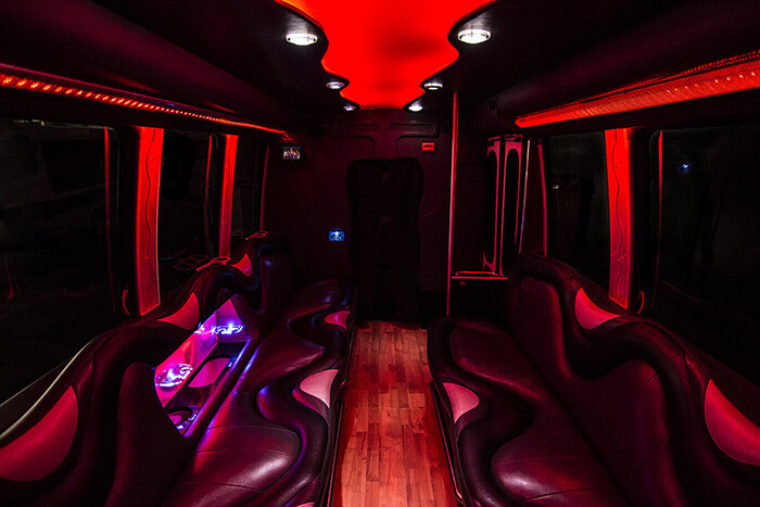Party bus with great sound system